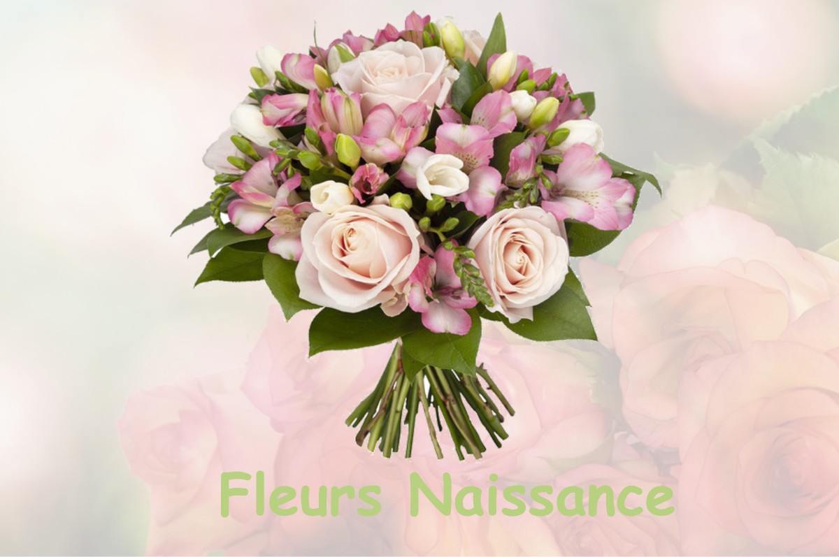 fleurs naissance CUSSY-LE-CHATEL