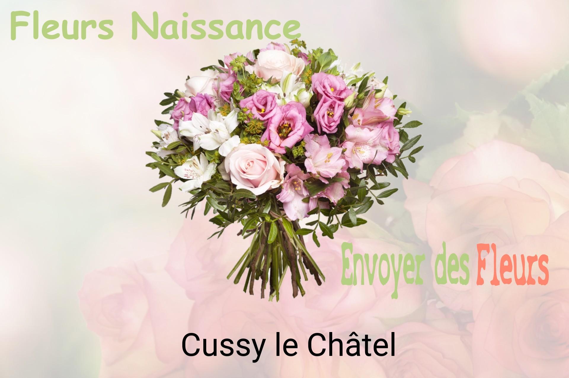 Bouquet de fleurs de naissance livré à Cussy-le-Châtel